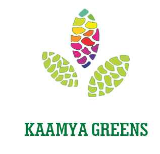 Sikka Kaamya Greens